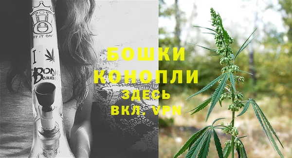 ECSTASY Пестово