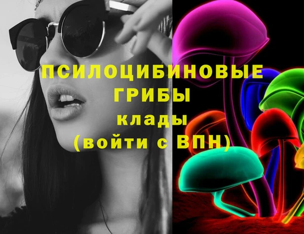 стафф Осташков