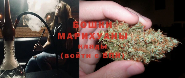 стафф Осташков